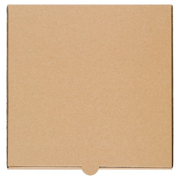JR Foods & Packaging Services 9" Pizza Box Plain Brown 100pcs