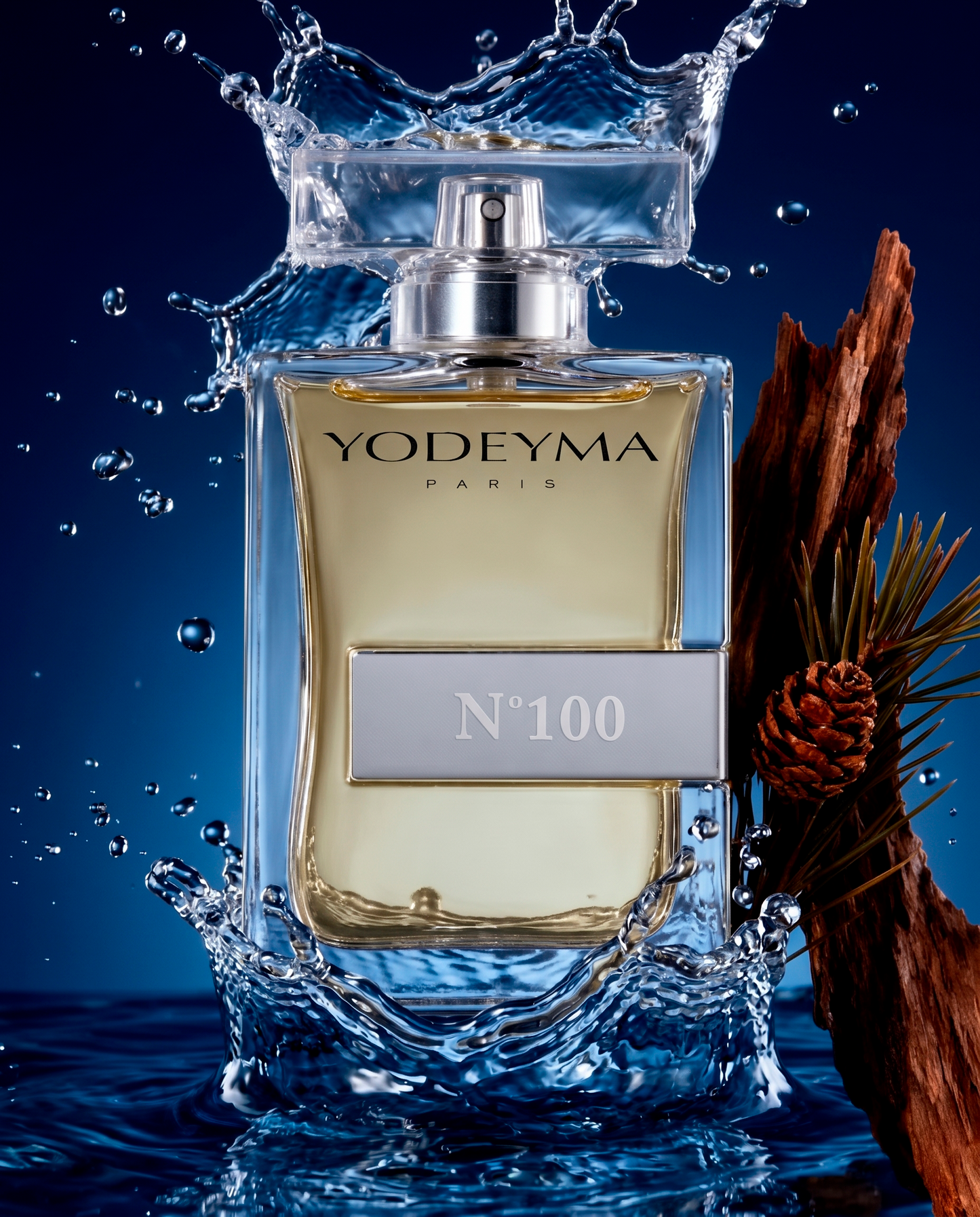 Nº 100
