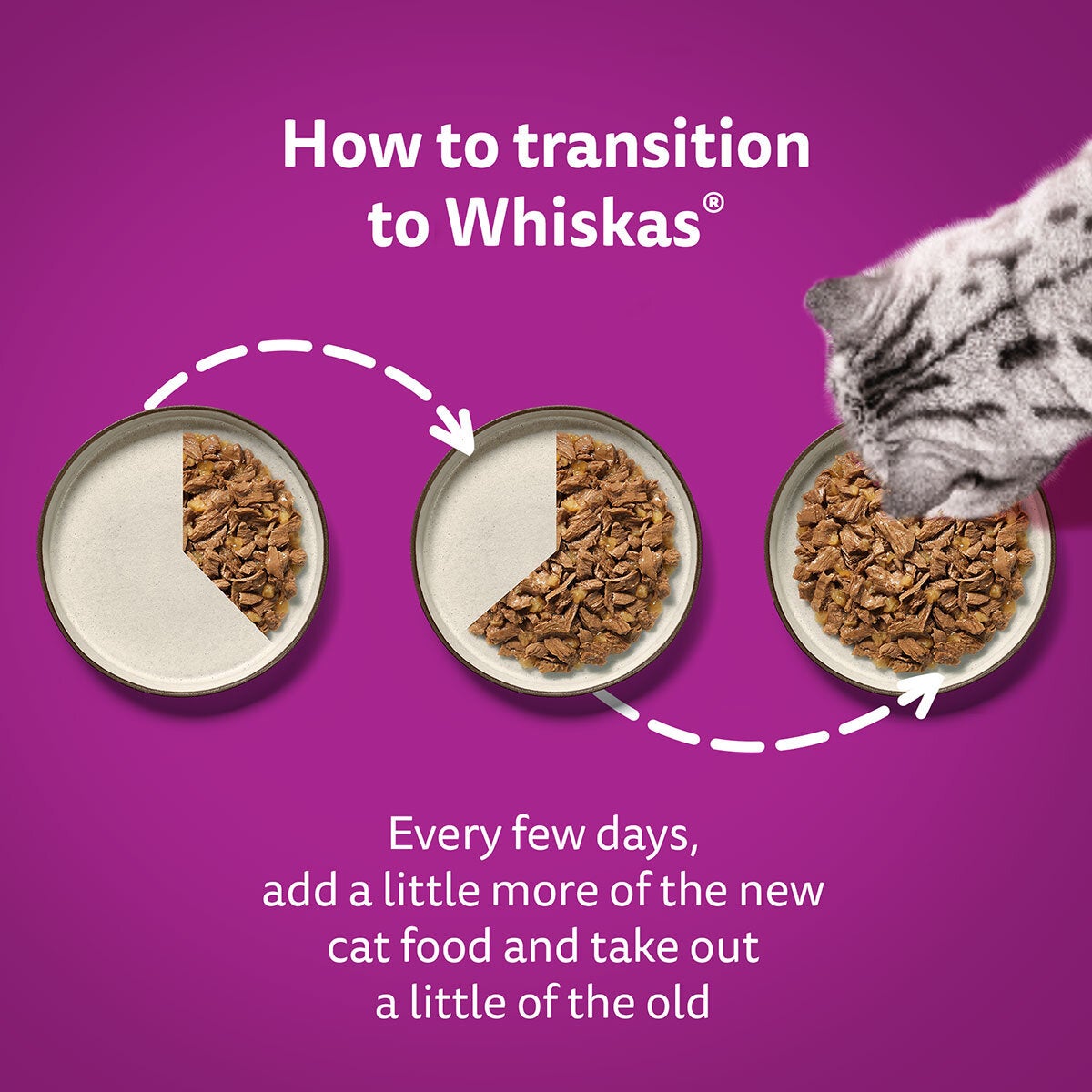 Whiskas Poultry Feast in Jelly Pouches 7+, 40 x 85g
