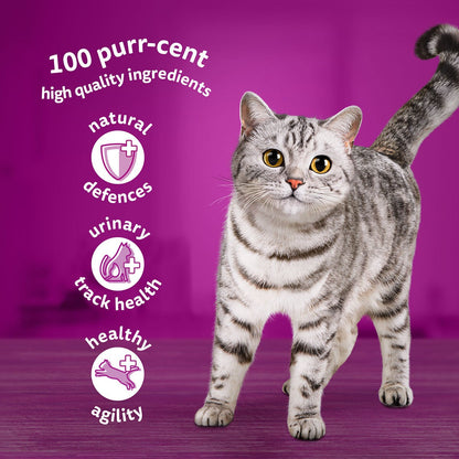 Whiskas Poultry Feast in Jelly Pouches 7+, 40 x 85g