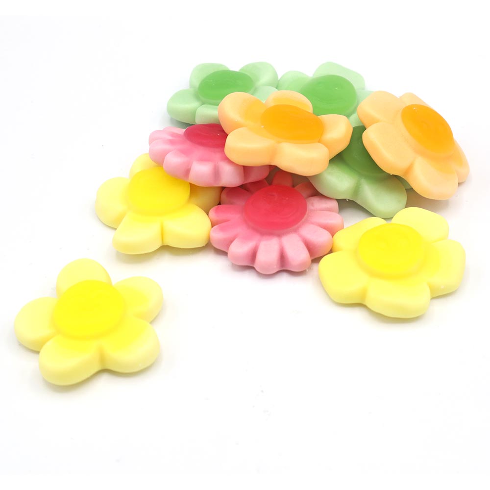 Kingsway Expert's Choice Happy Flowers Bag 2kg