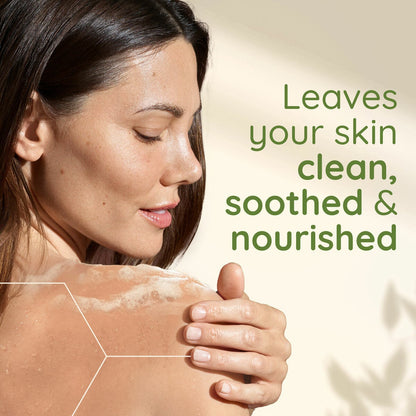 Aveeno Daily Moisturising Body Wash 2 x 500ml