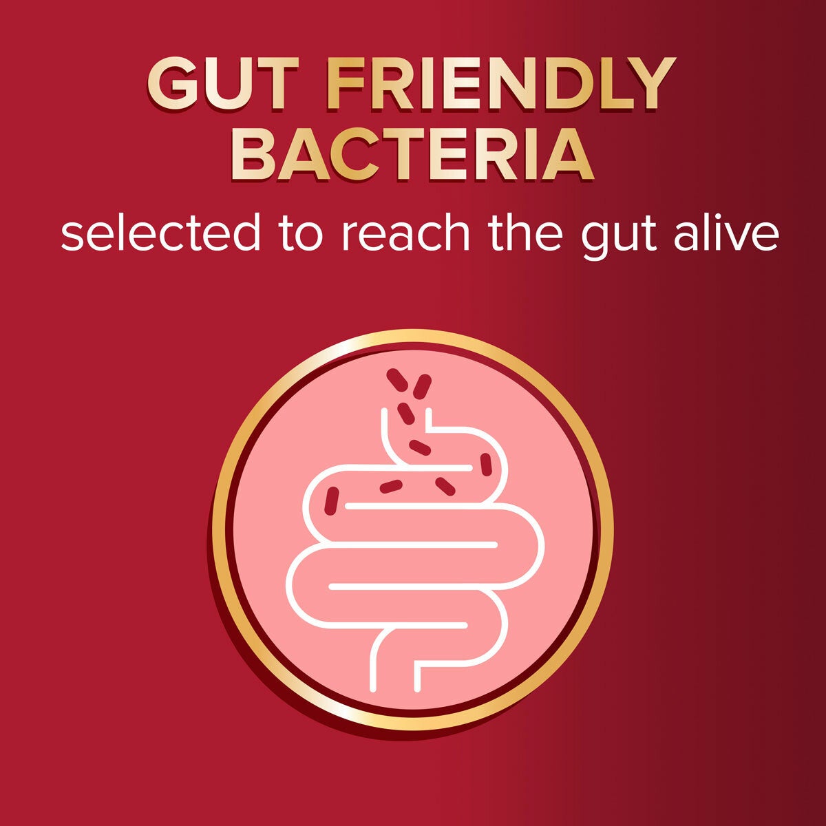Seven Seas Omega 3 and Gut Friendly Bacteria, 3 x 30 Count