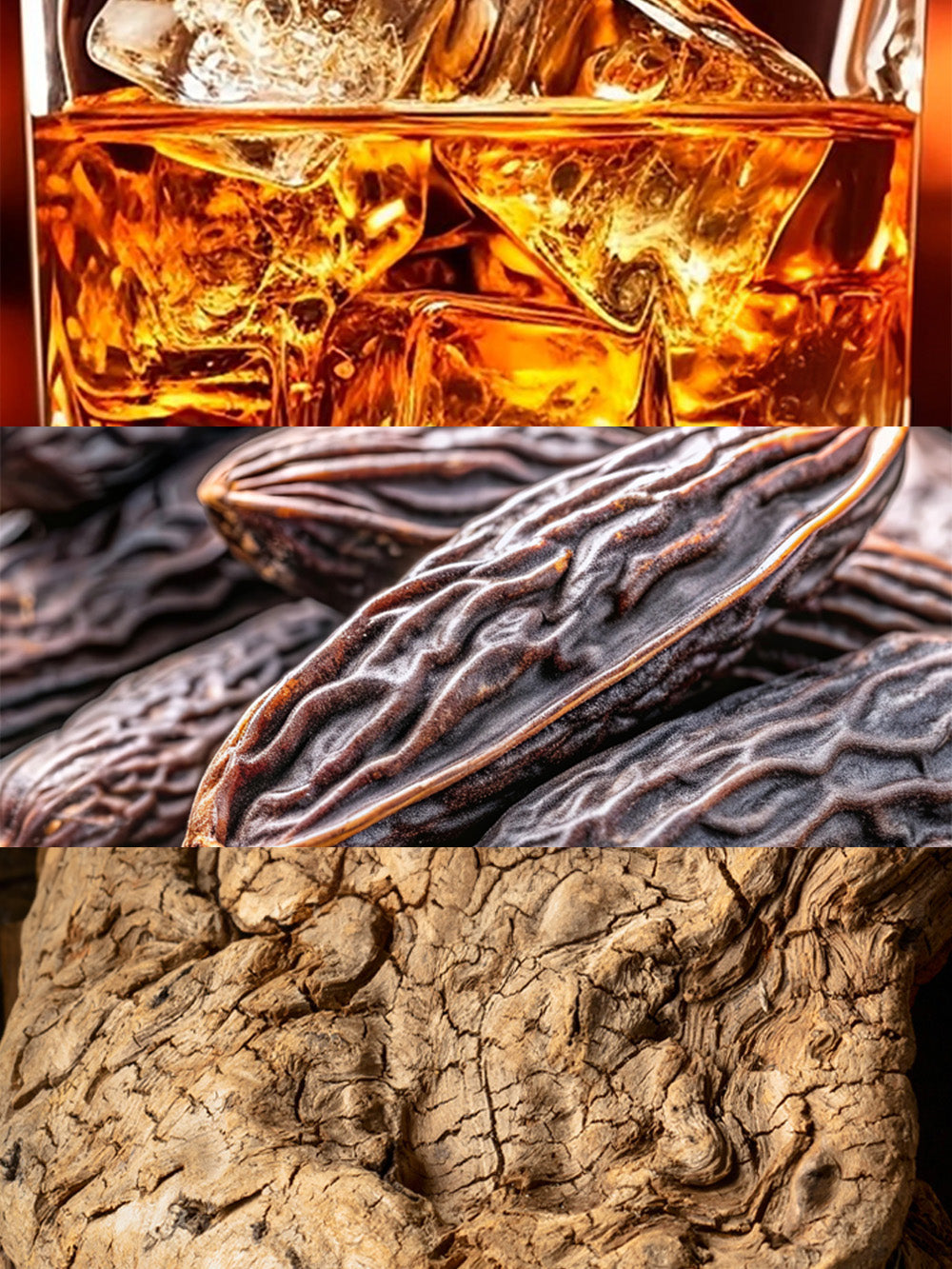 Nº 53
