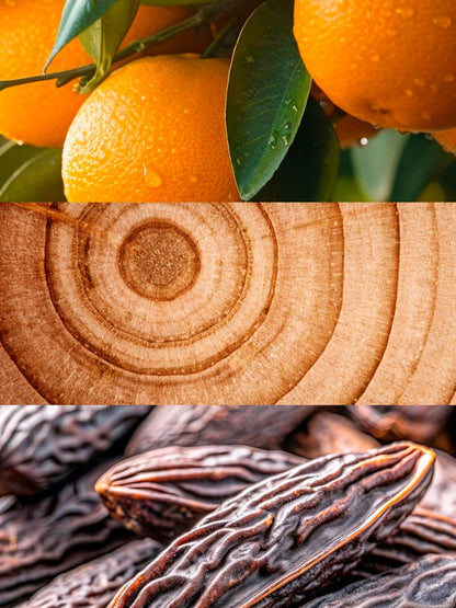 Nº 128