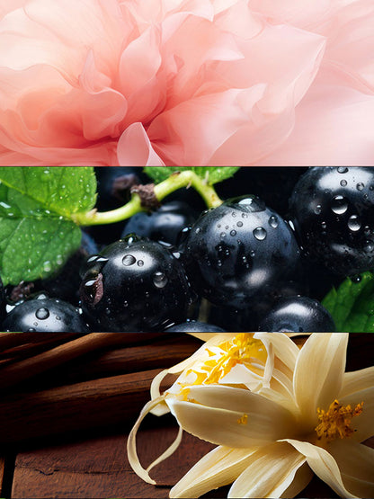 Nº 37
